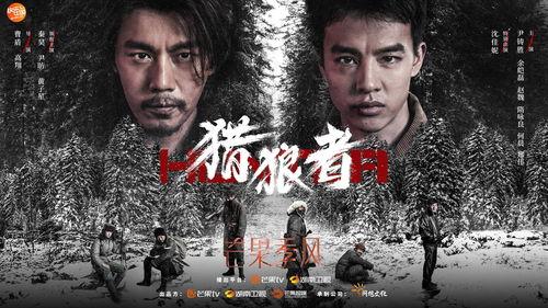 电视剧猎狼在线观看,揭秘卧底猎狼者的生死较量  第3张